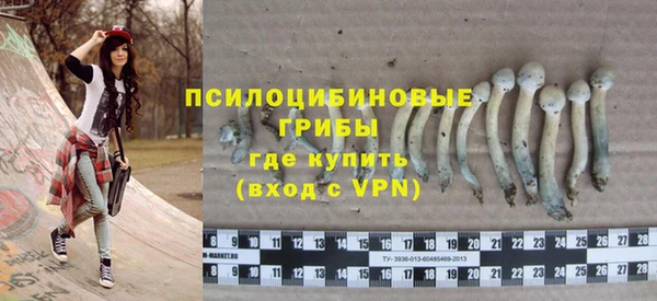 прущие крисы Абинск