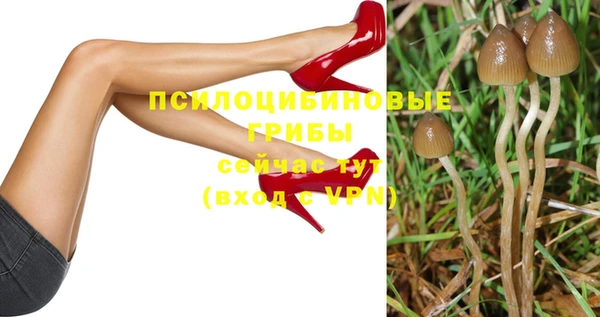 прущие крисы Абинск