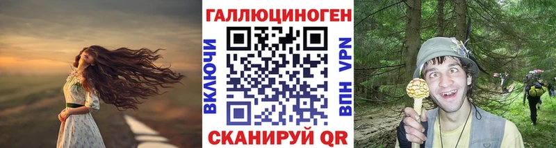 MEGA как войти где продают Катайск Галлюциногенные грибы мухоморы